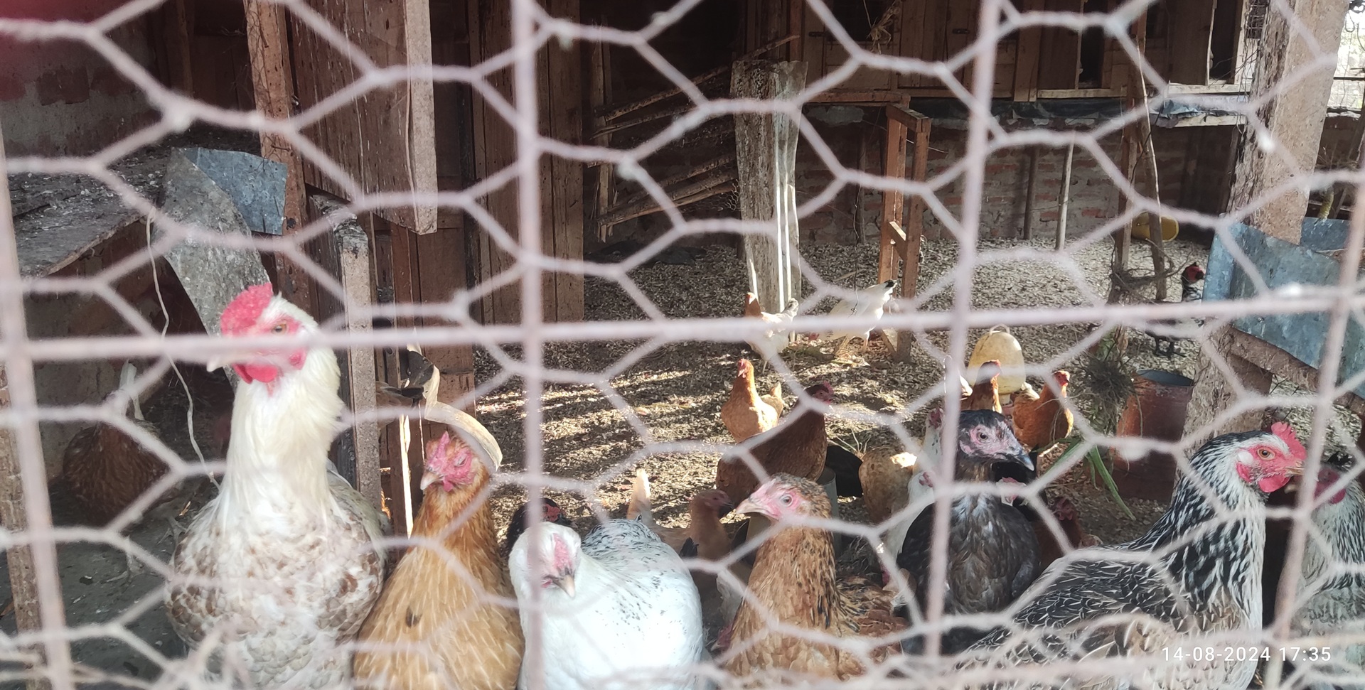 Economic Empowerment